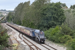 LNER Class A4 No: 60007 ‘Sir-Nigel-Gresley'